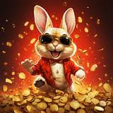 9nbet fortune rabbit ícone